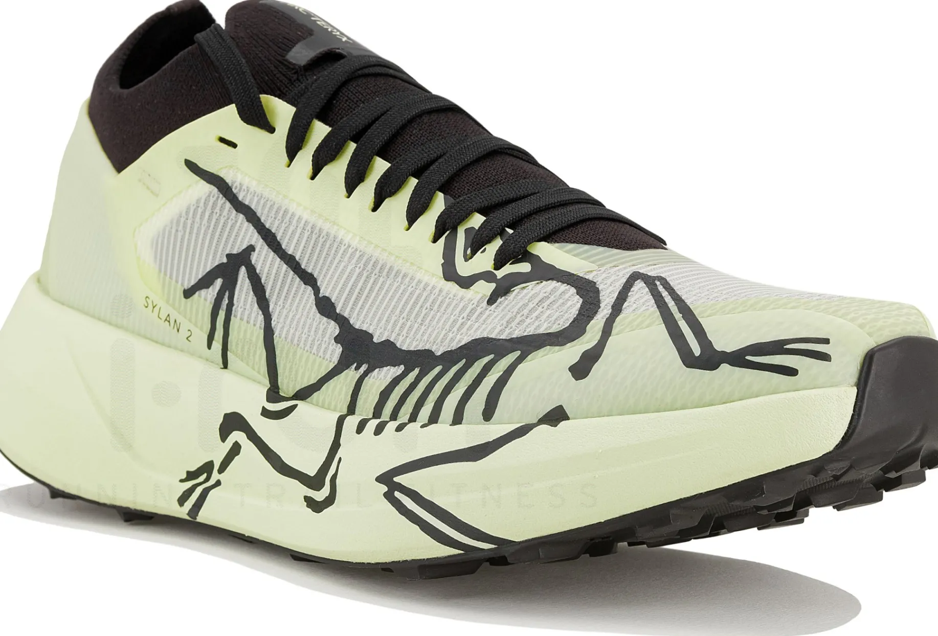 Arcteryx Sylan 2