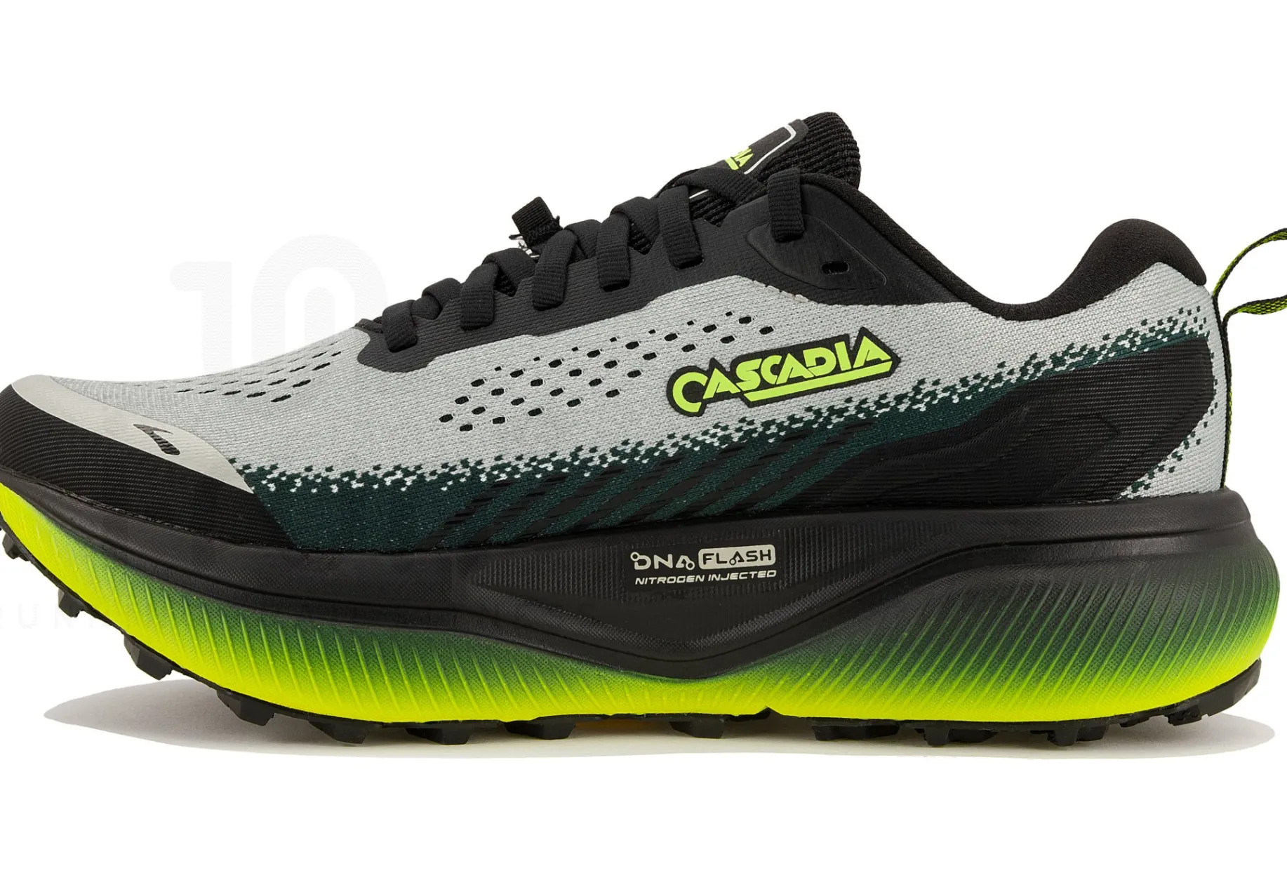Brooks Cascadia 20