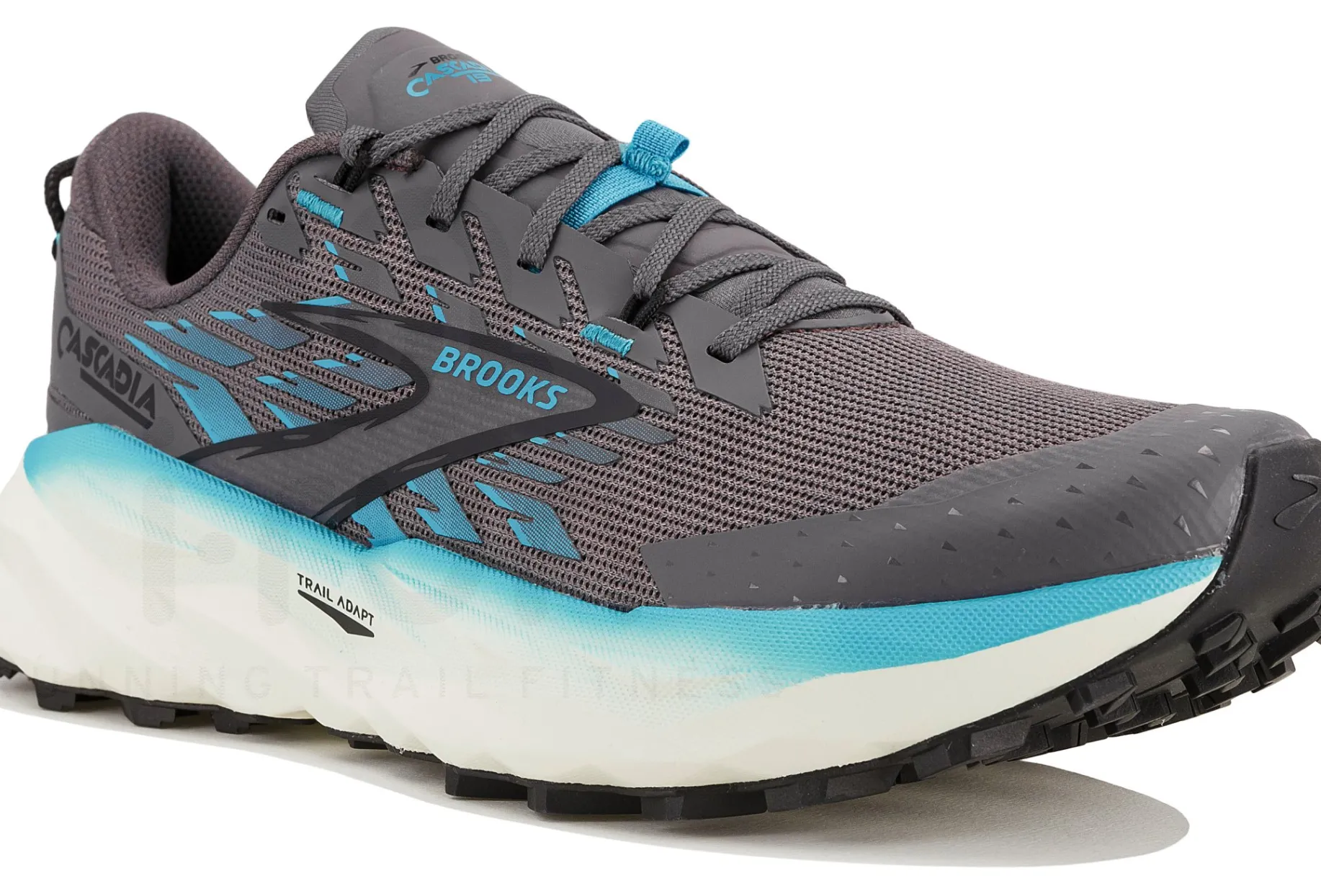 Brooks Cascadia 19