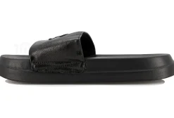 Champion Miami Platform