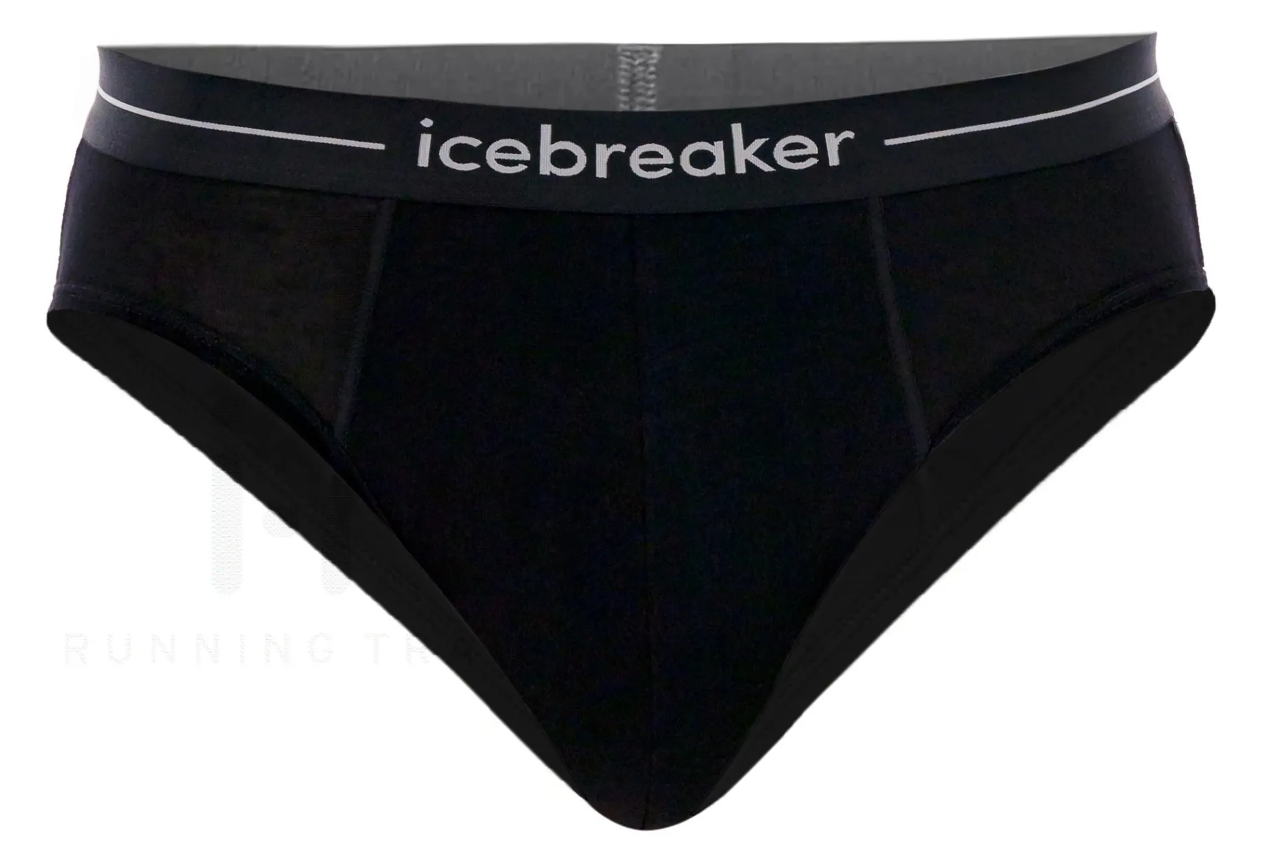 Icebreaker Slip Anatomica Briefs
