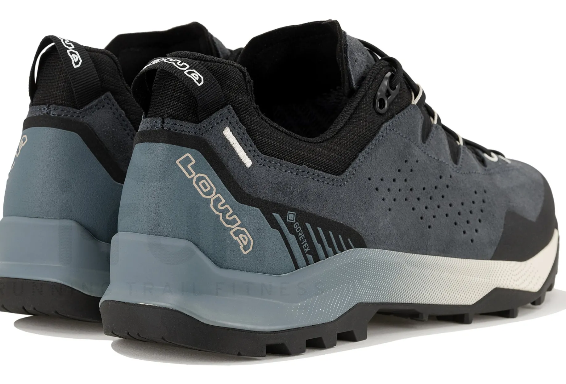 Lowa Explorer Gore-Tex LO