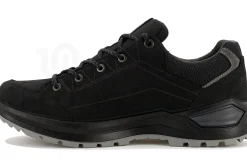Lowa Renegade Evo Gore-Tex Lo