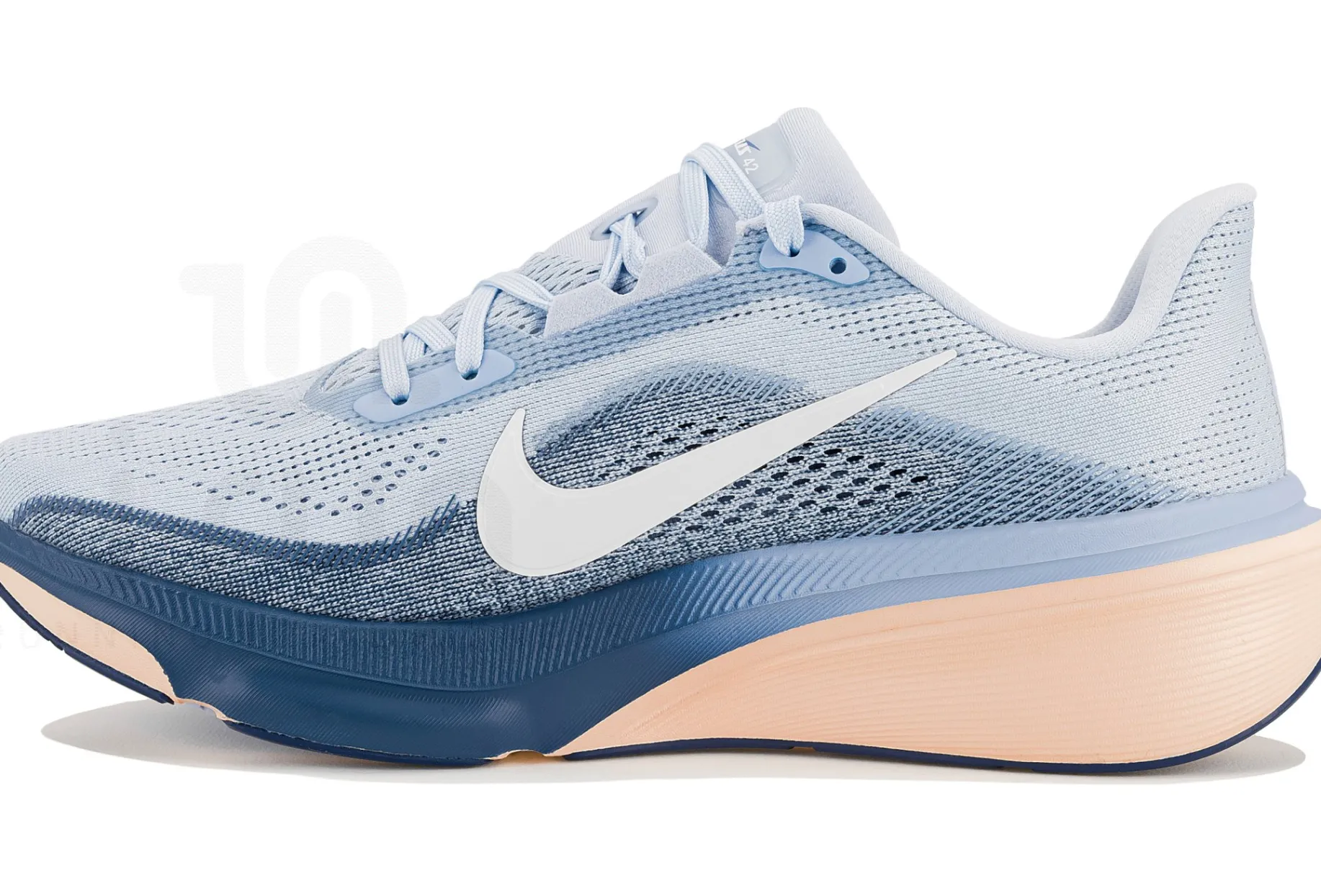 Nike Pegasus 42