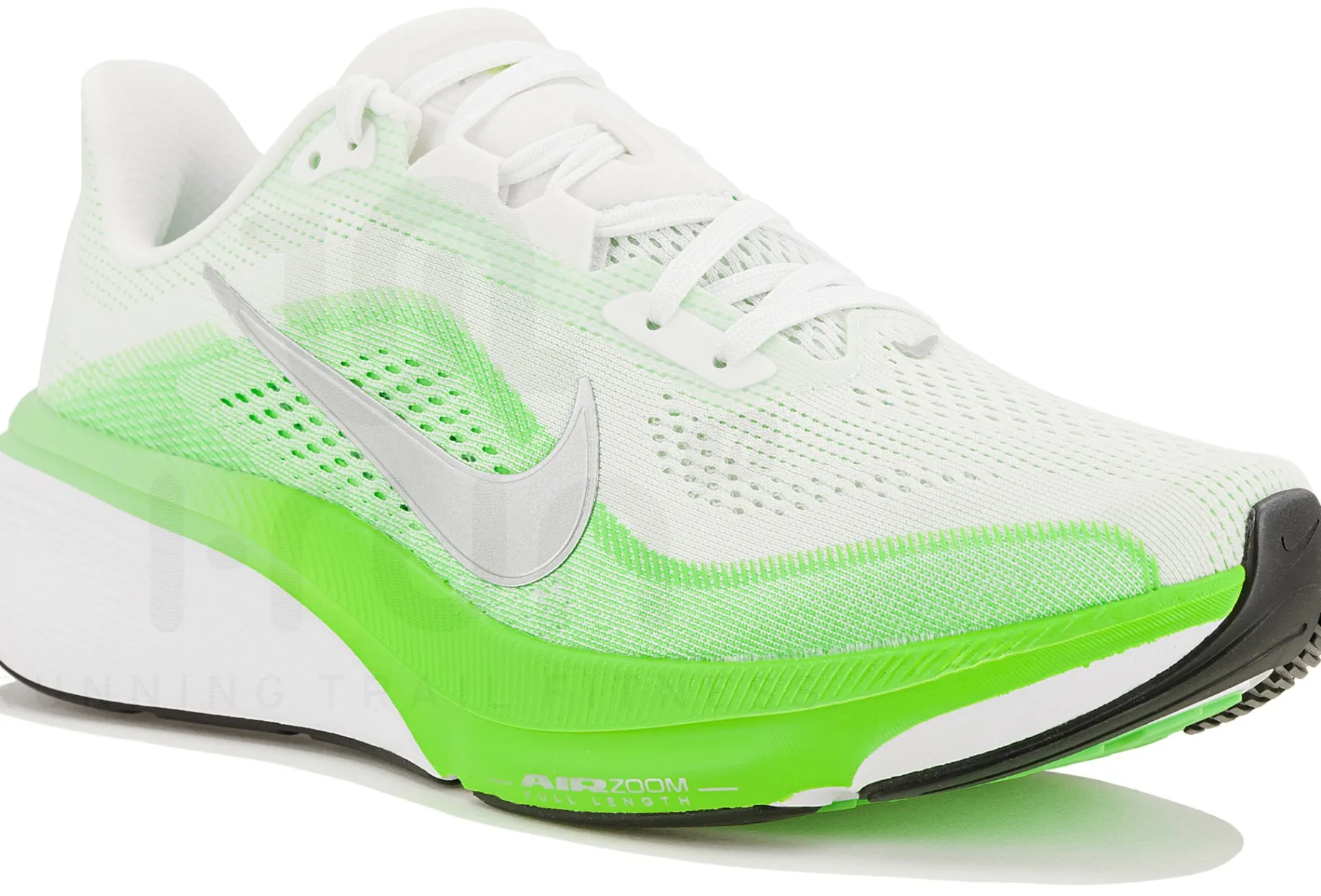 Nike Pegasus 42