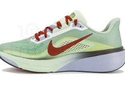Nike Pegasus 42