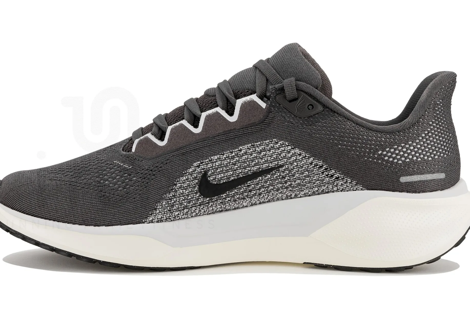 Nike Pegasus 41