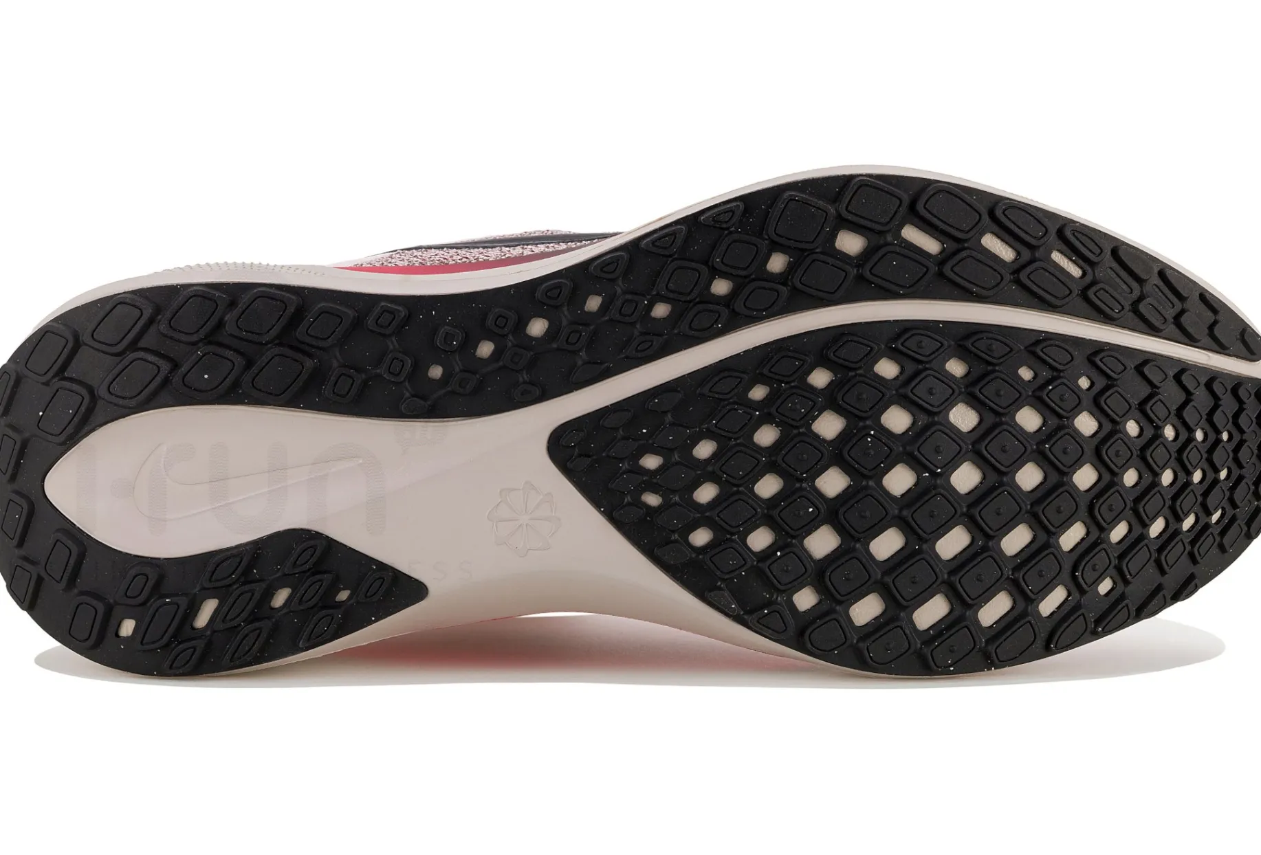 Nike Pegasus 41