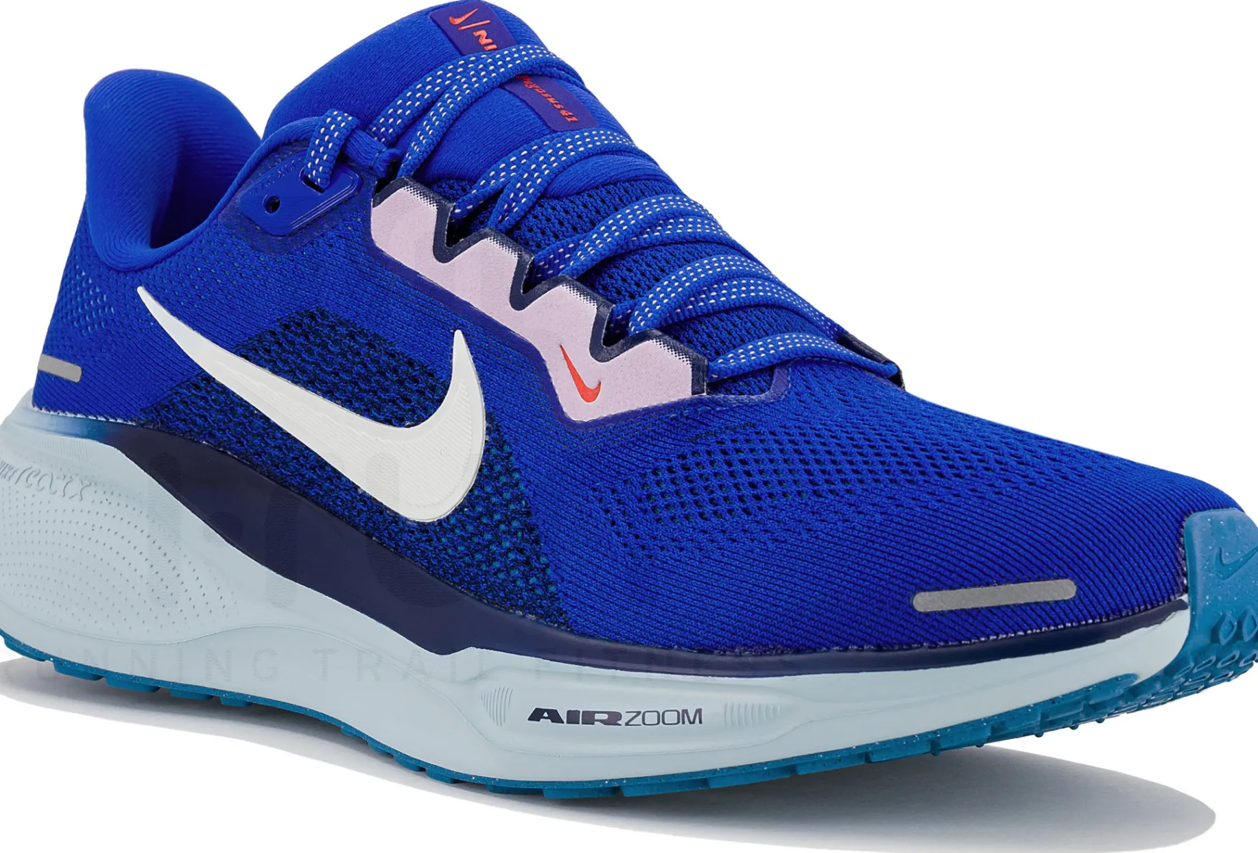 Nike Pegasus 41 Colección BRS