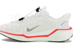 Nike Pegasus EasyOn