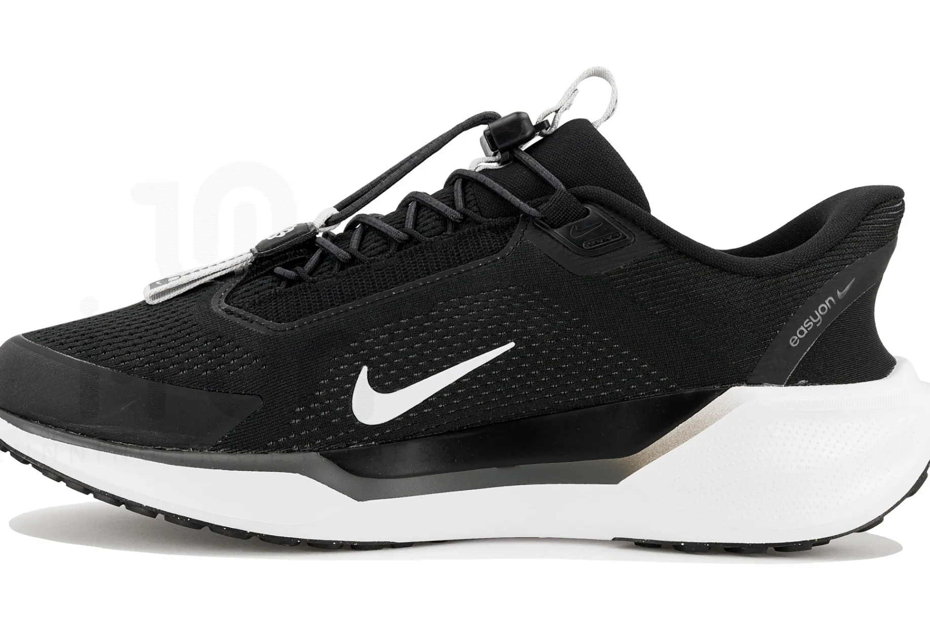 Nike Pegasus EasyOn