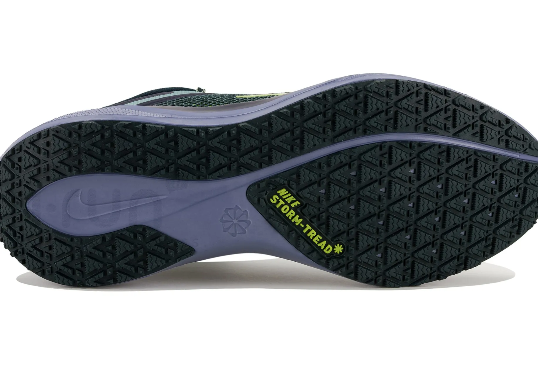 Nike Pegasus 41 Gore-Tex