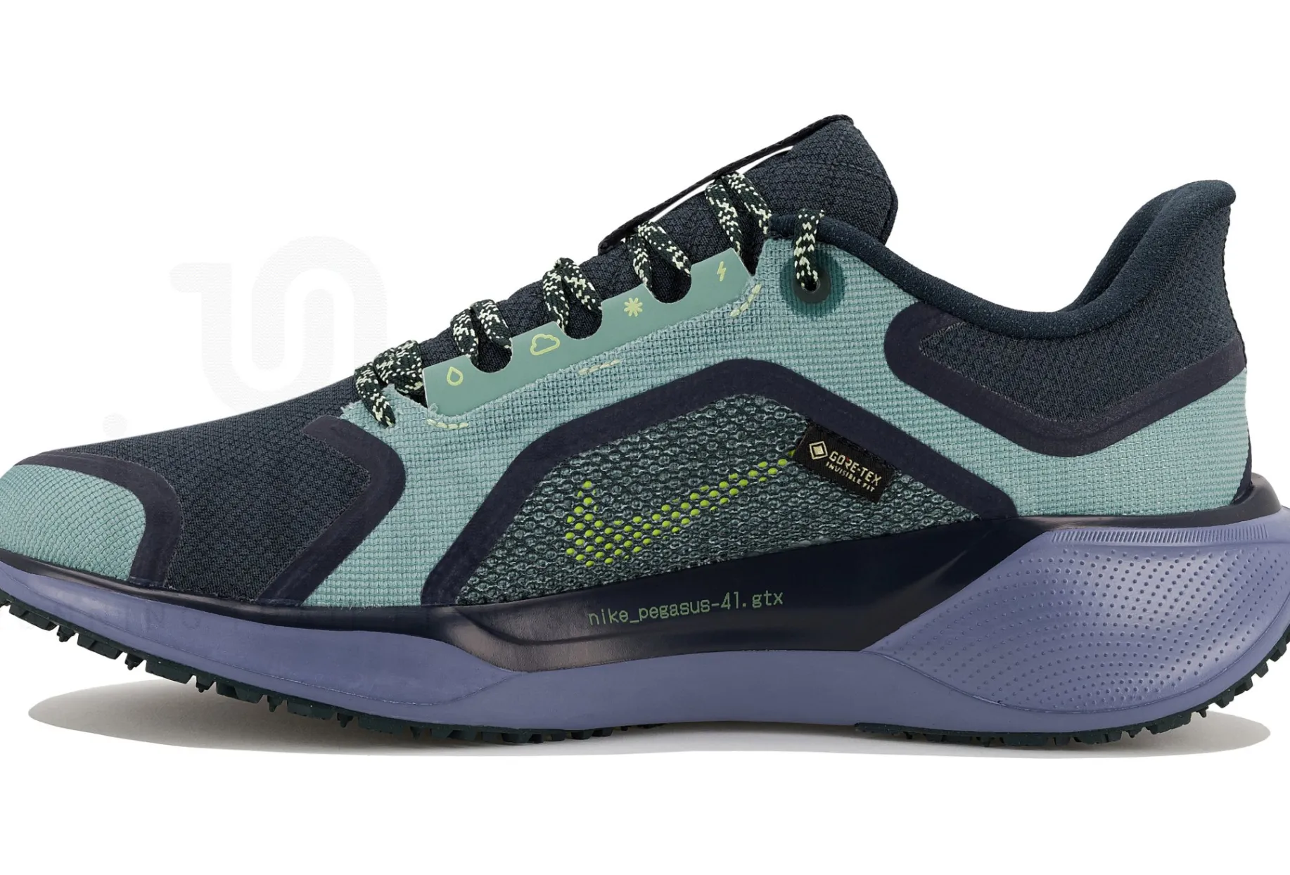 Nike Pegasus 41 Gore-Tex