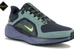 Nike Pegasus 41 Gore-Tex