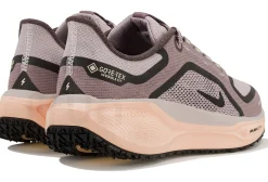 Nike Pegasus 41 Gore-Tex