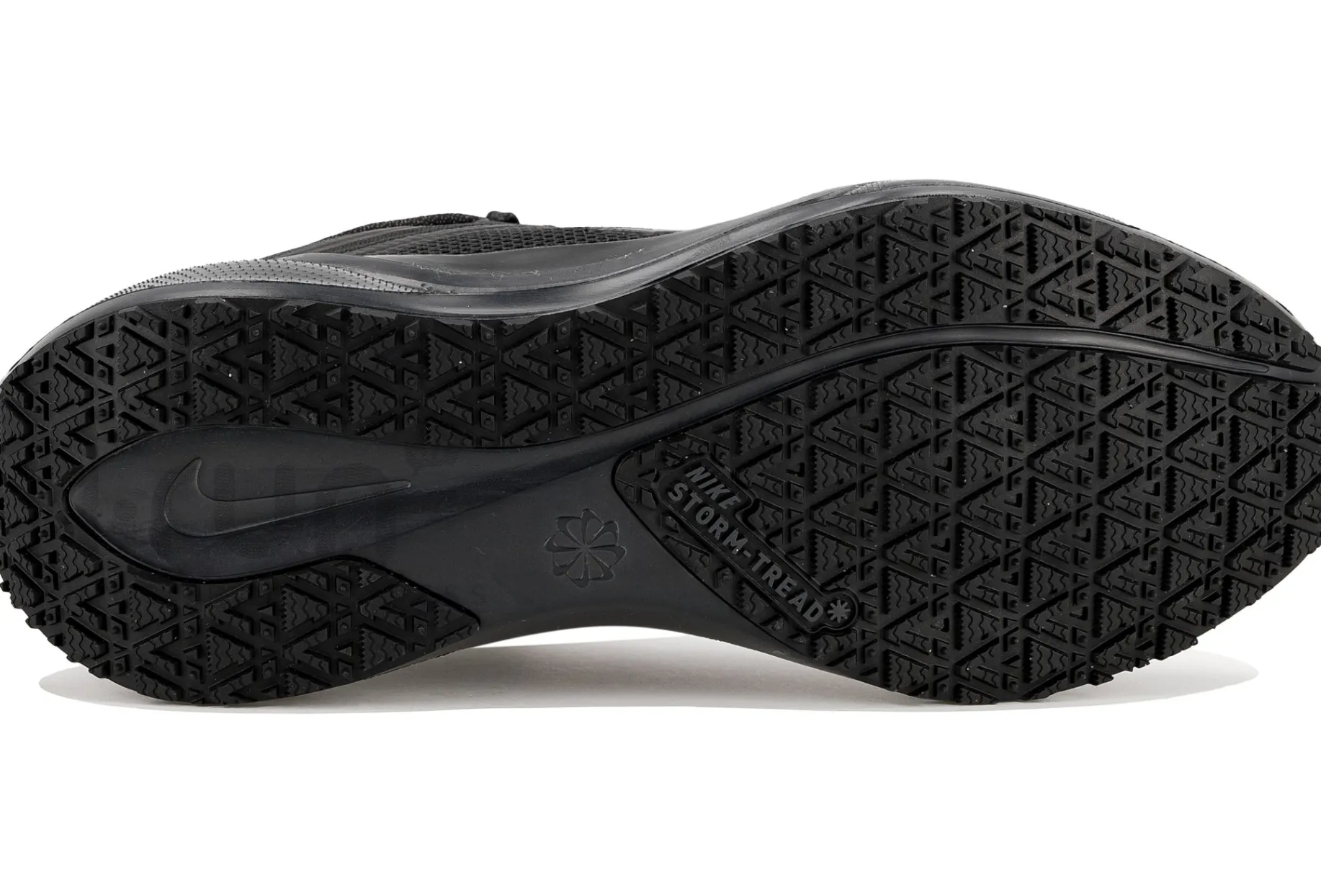 Nike Pegasus 41 Gore-Tex