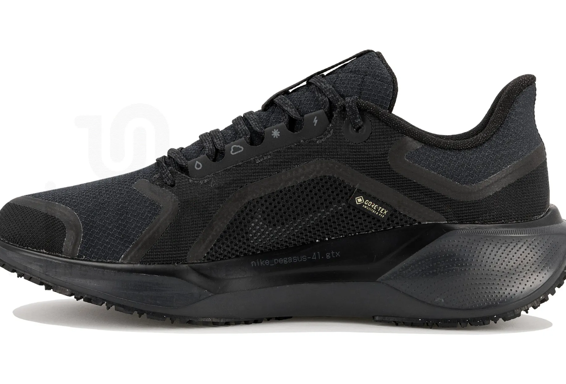Nike Pegasus 41 Gore-Tex