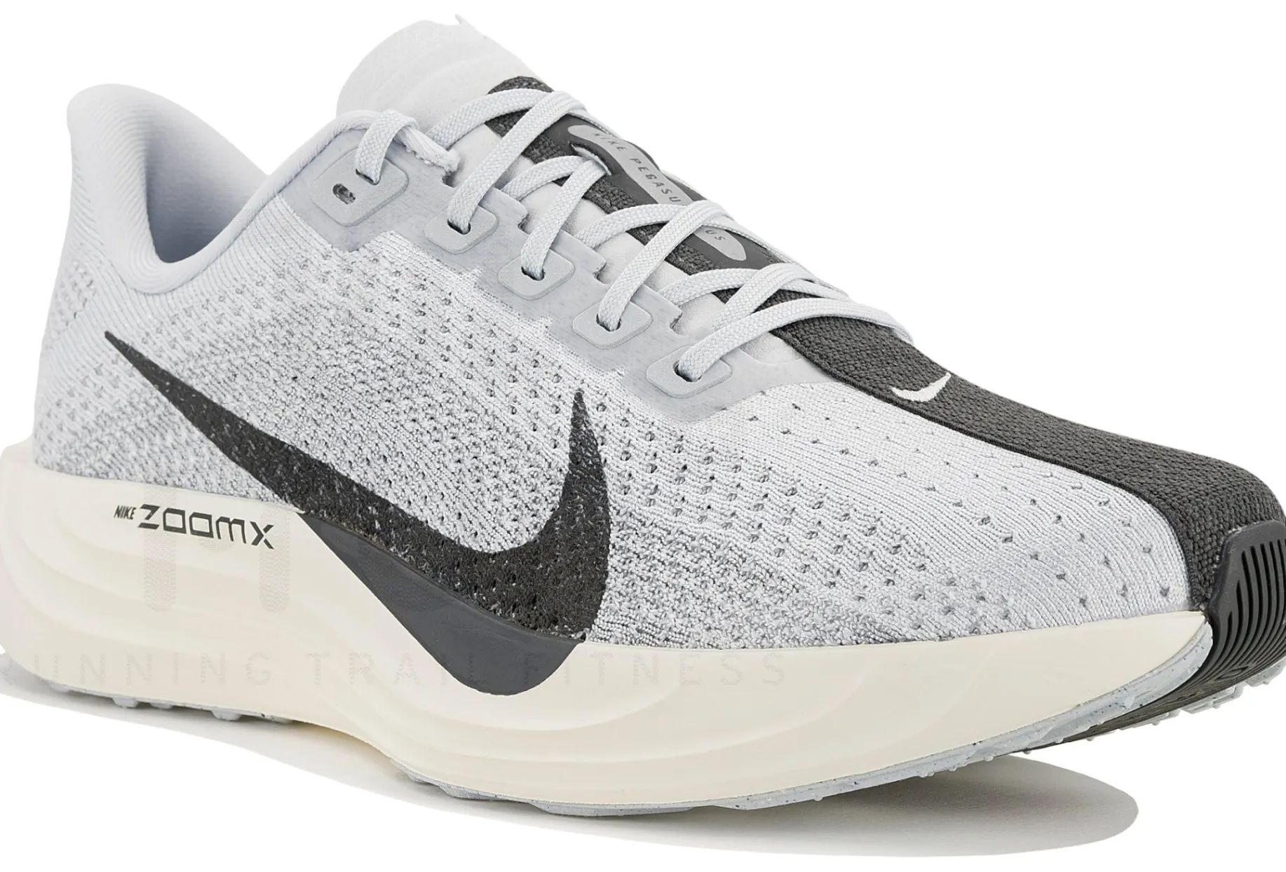 Nike Pegasus Plus