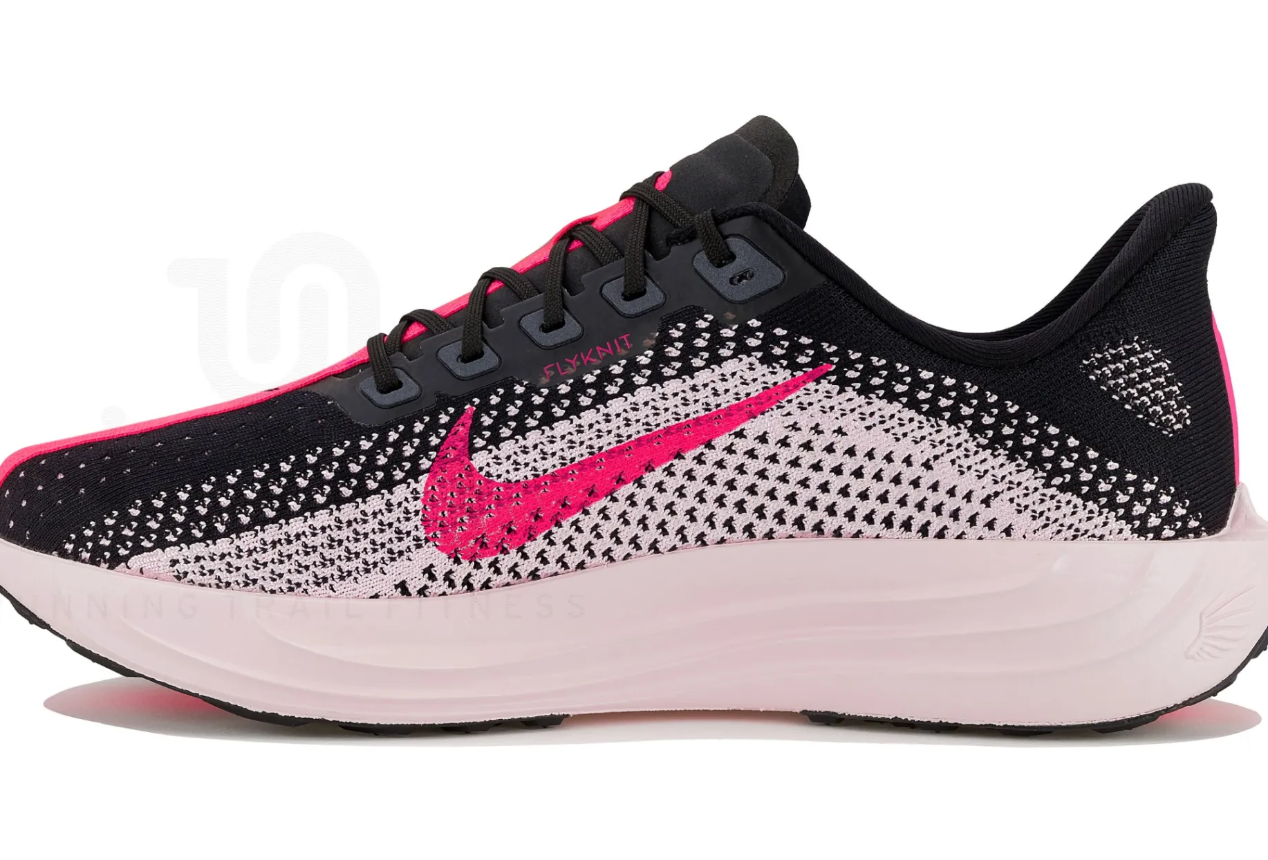 Nike Pegasus Plus