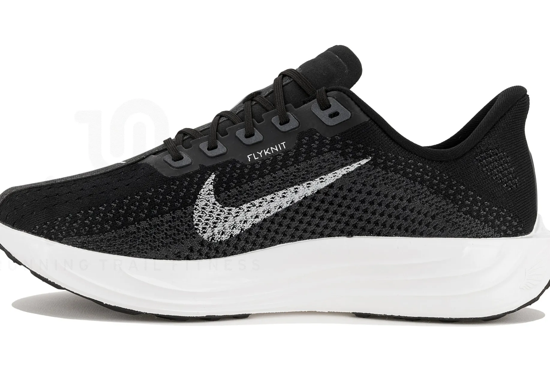 Nike Pegasus Plus