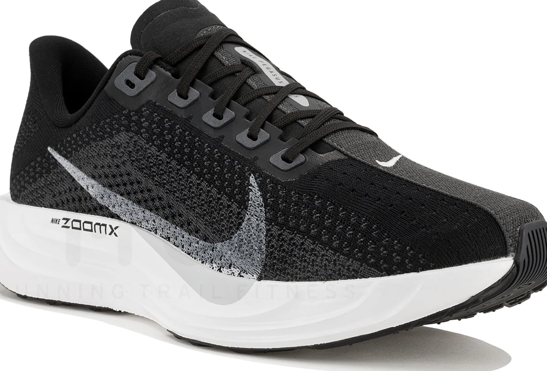 Nike Pegasus Plus
