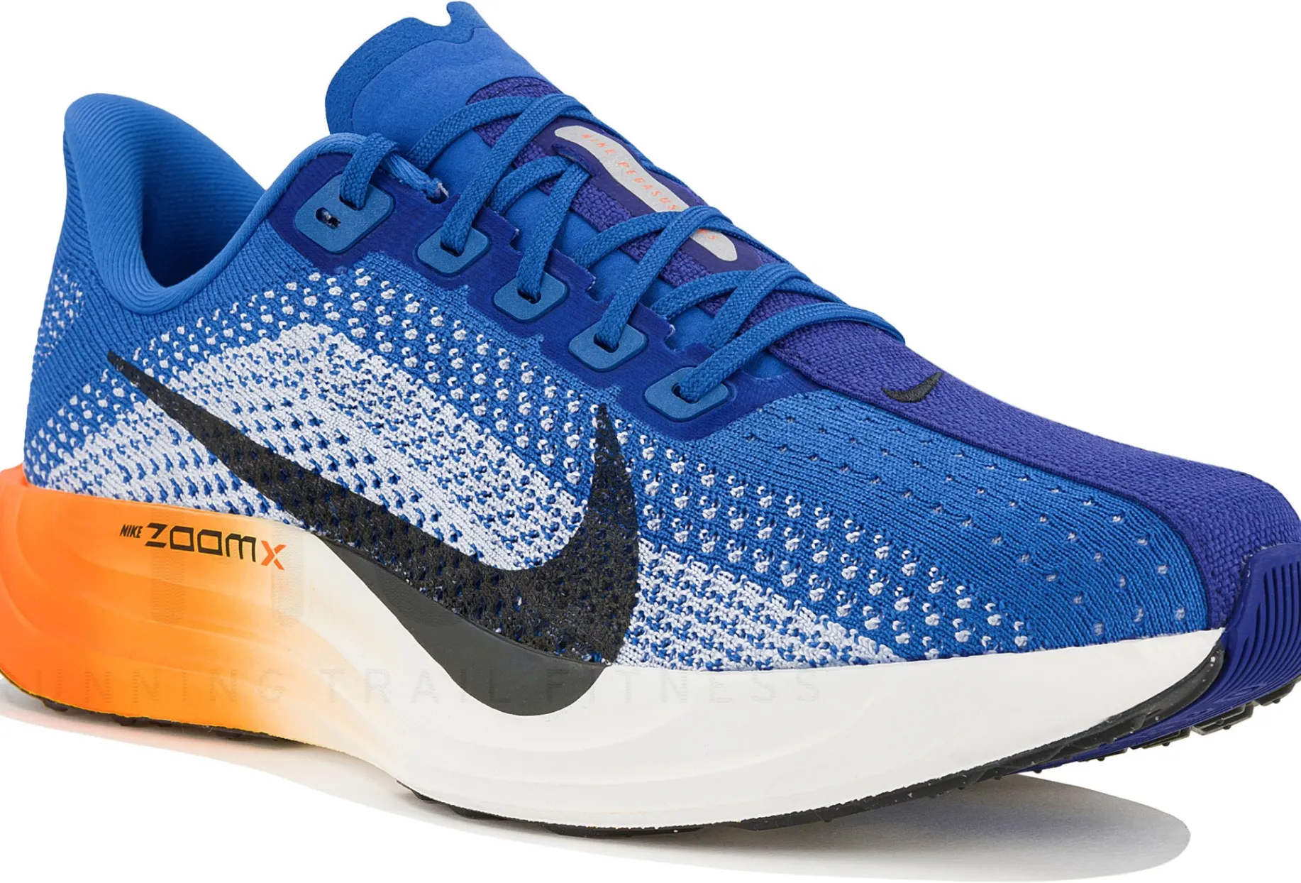 Nike Pegasus Plus
