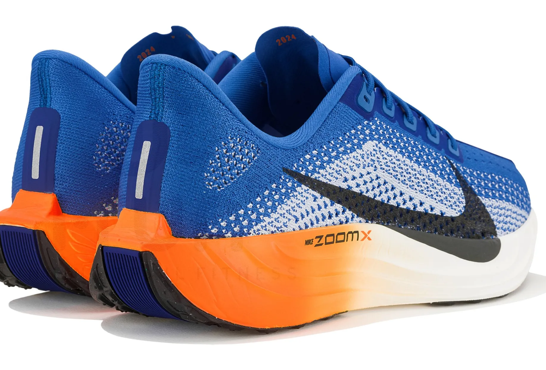Nike Pegasus Plus