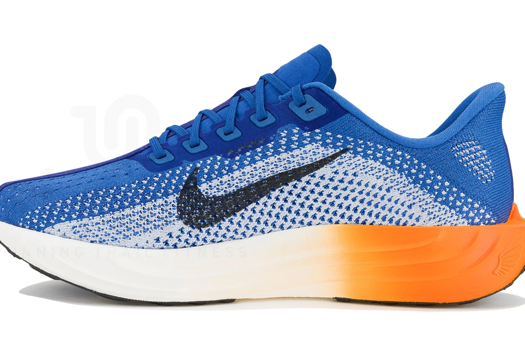 Nike Pegasus Plus