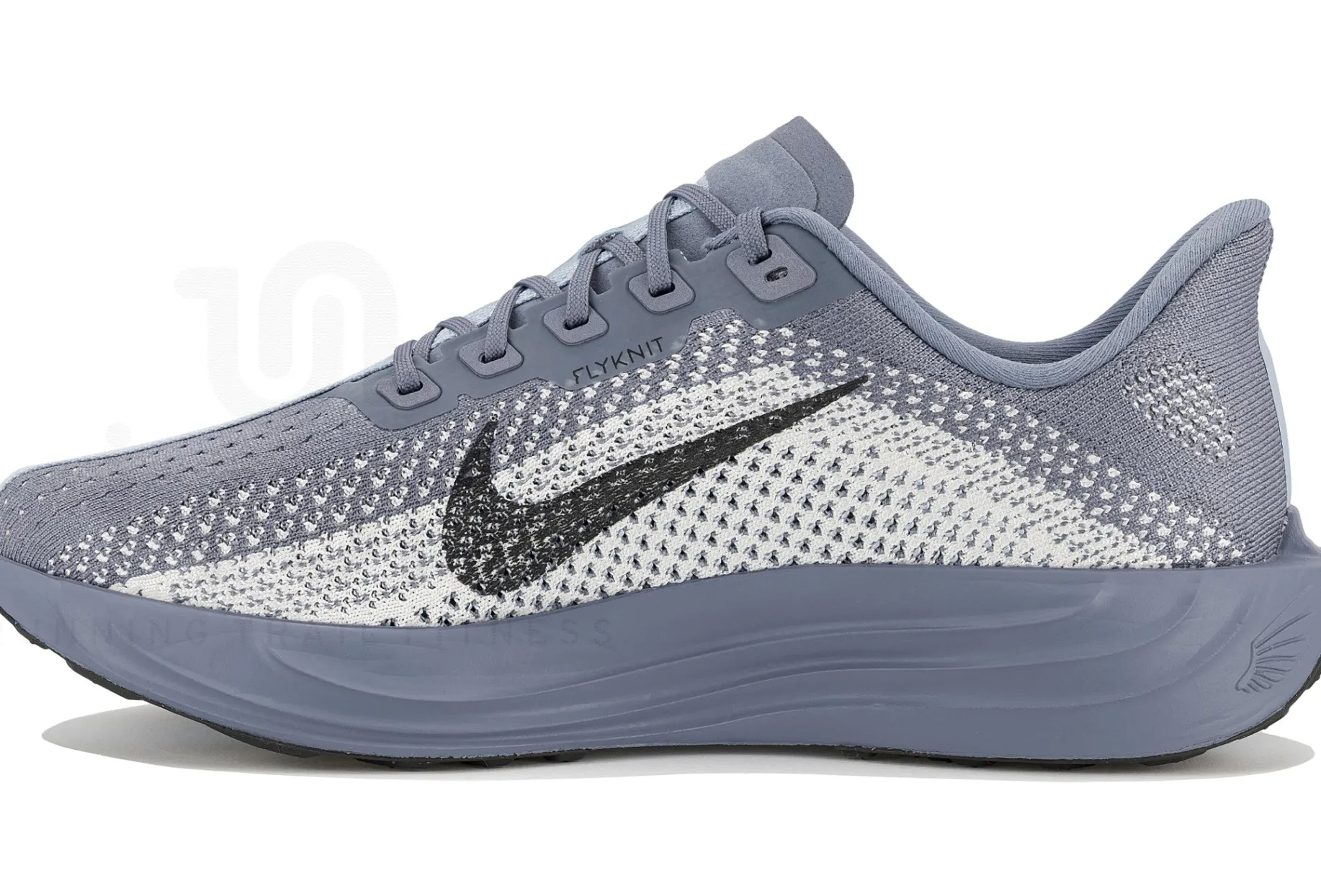 Nike Pegasus Plus