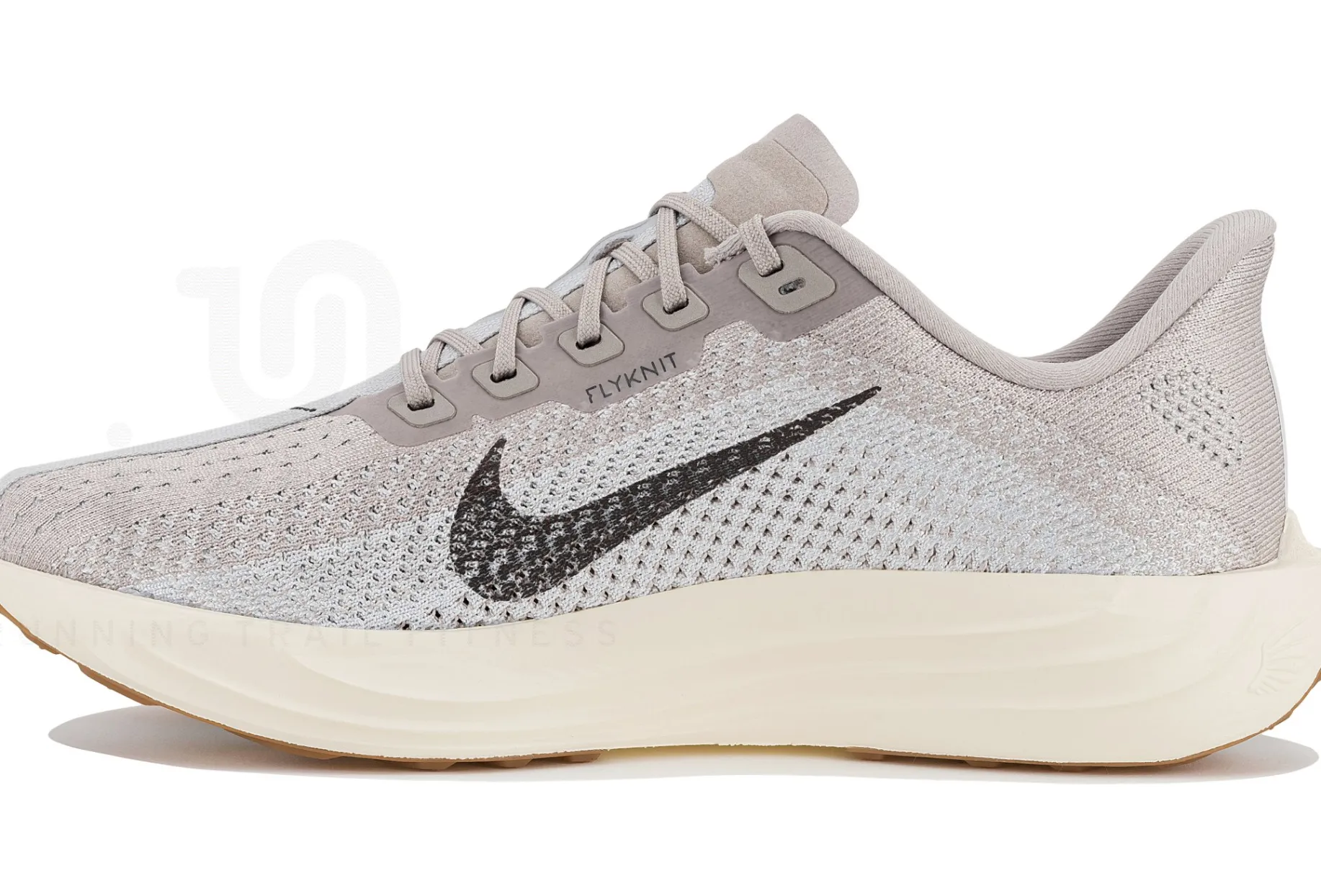 Nike Pegasus Plus