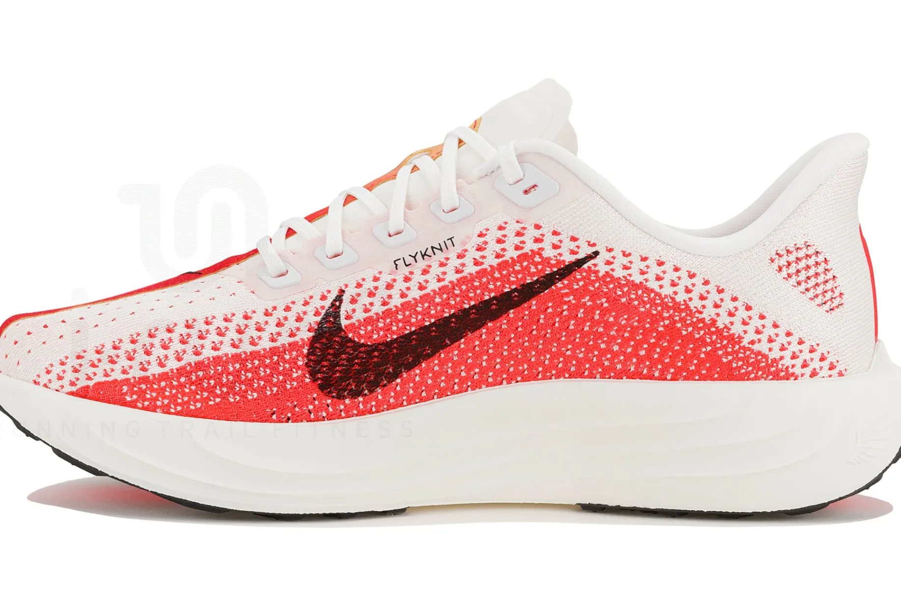 Nike Pegasus Plus