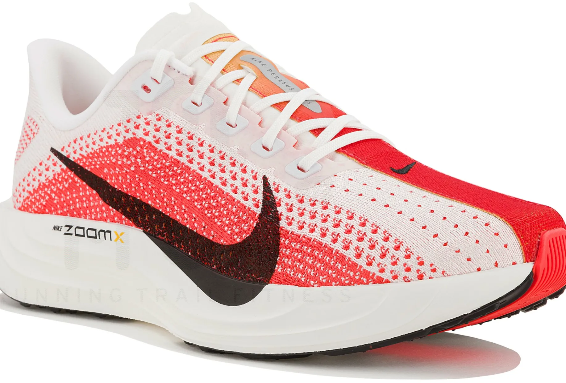 Nike Pegasus Plus