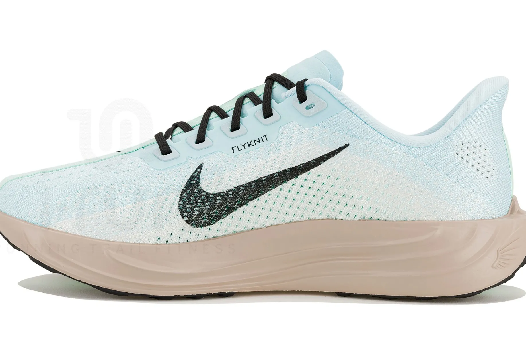 Nike Pegasus Plus