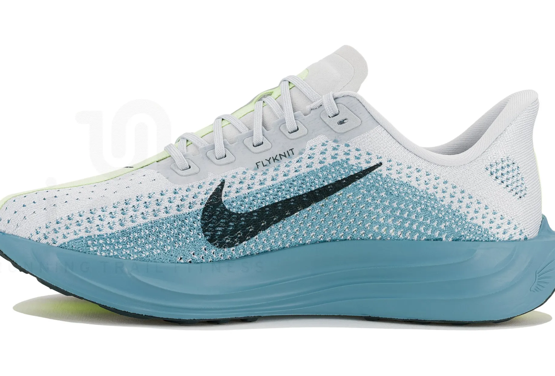 Nike Pegasus Plus