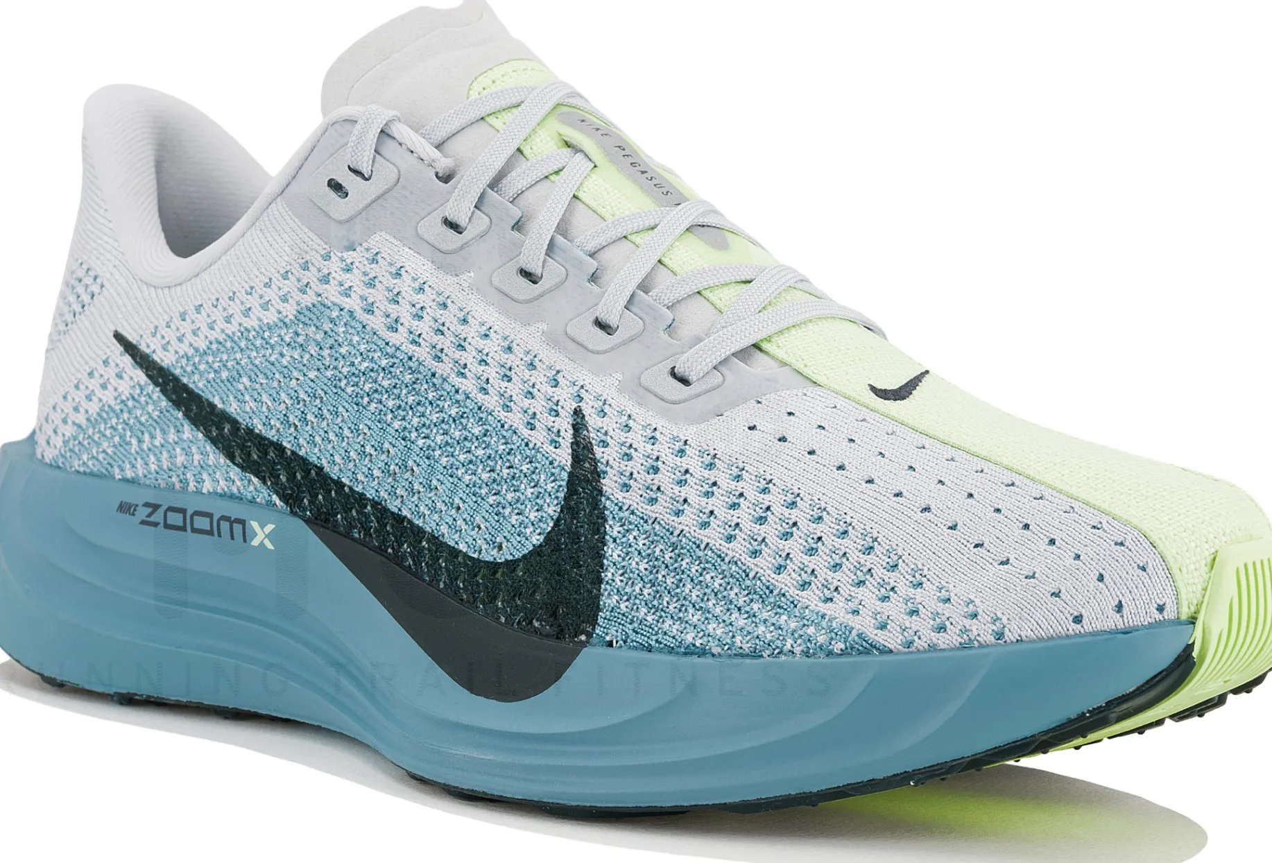 Nike Pegasus Plus