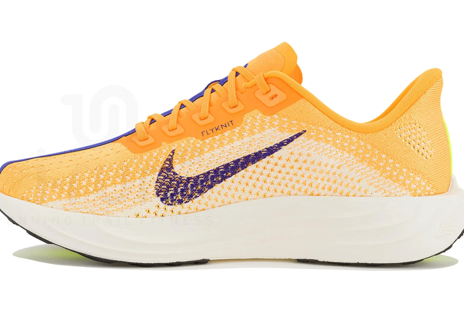 Nike Pegasus Plus