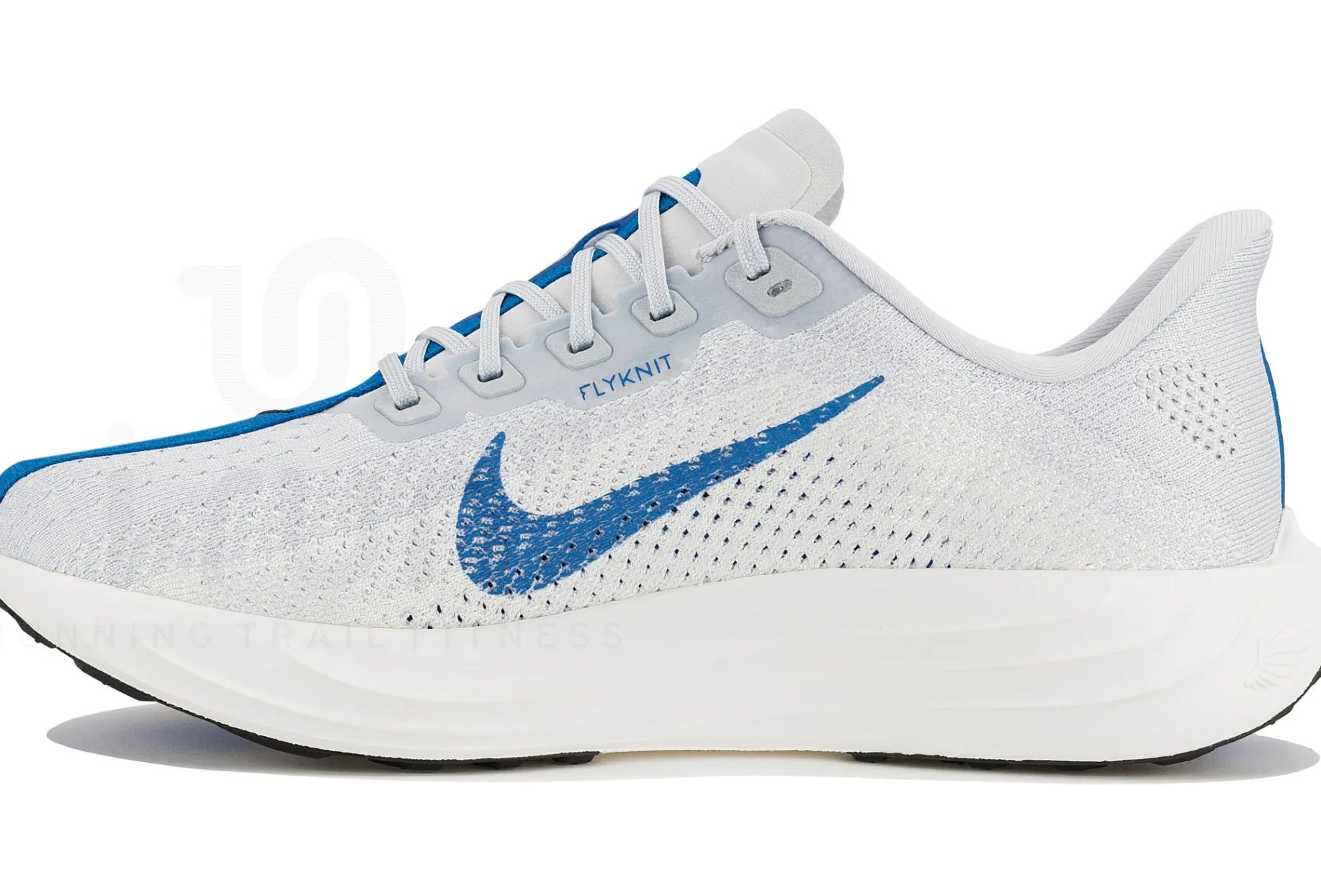Nike Pegasus Plus