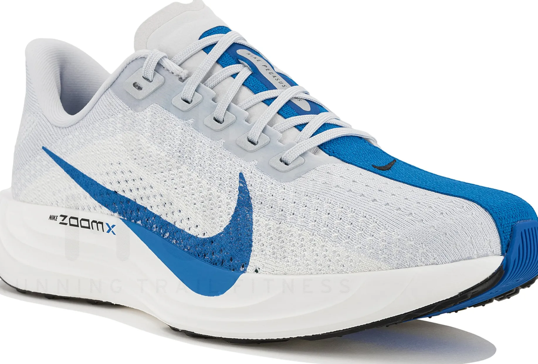 Nike Pegasus Plus