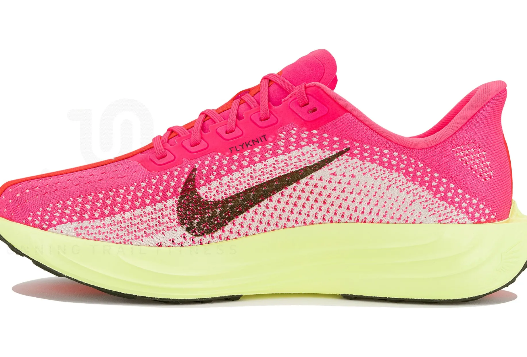 Nike Pegasus Plus