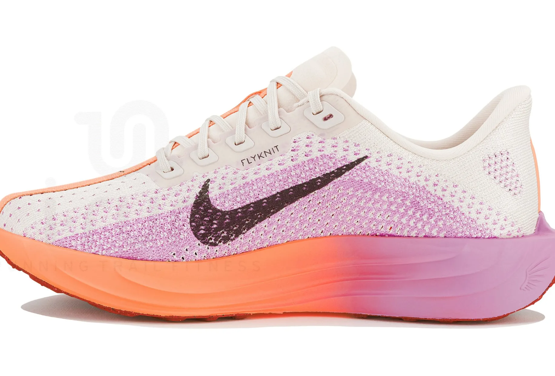 Nike Pegasus Plus