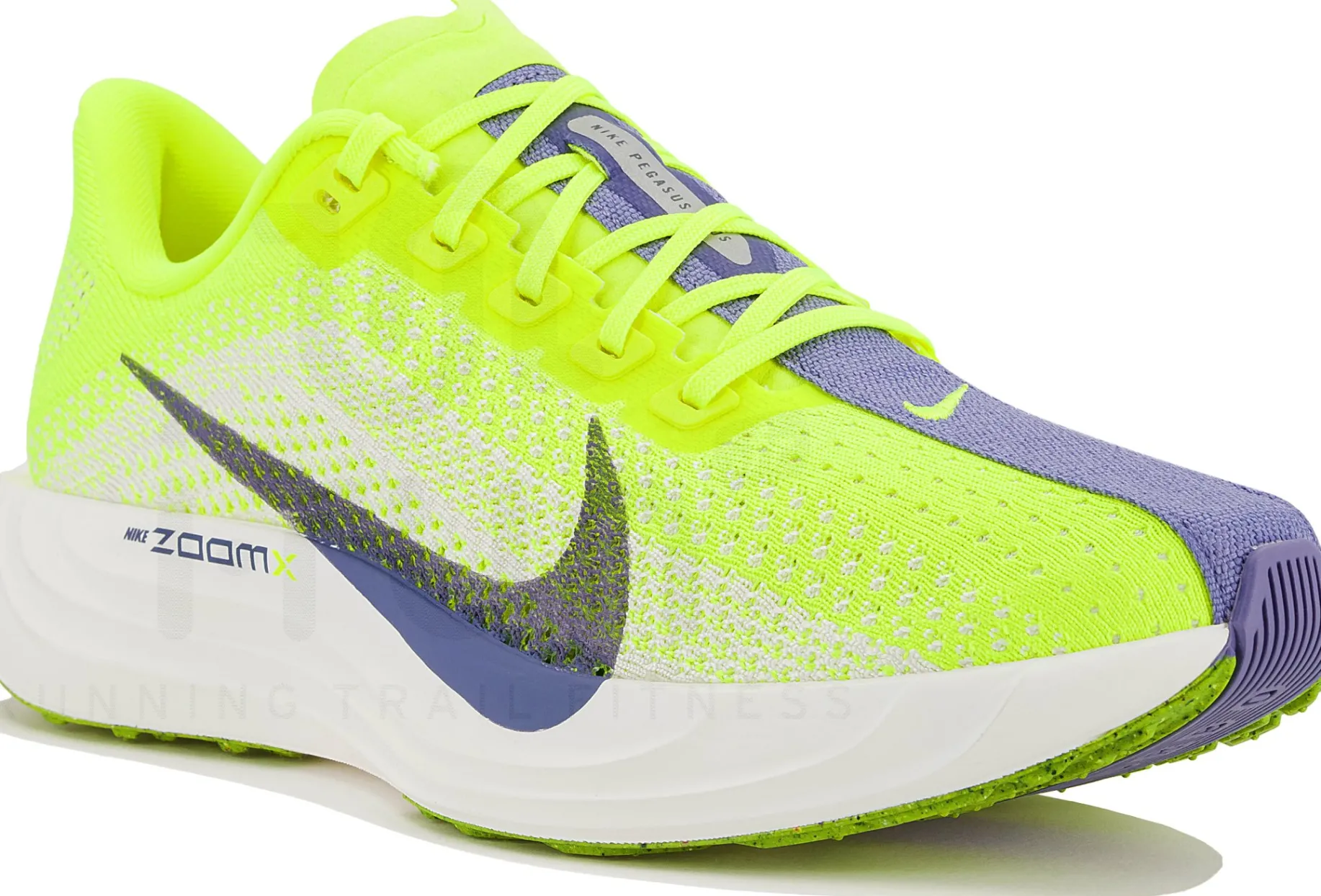 Nike Pegasus Plus
