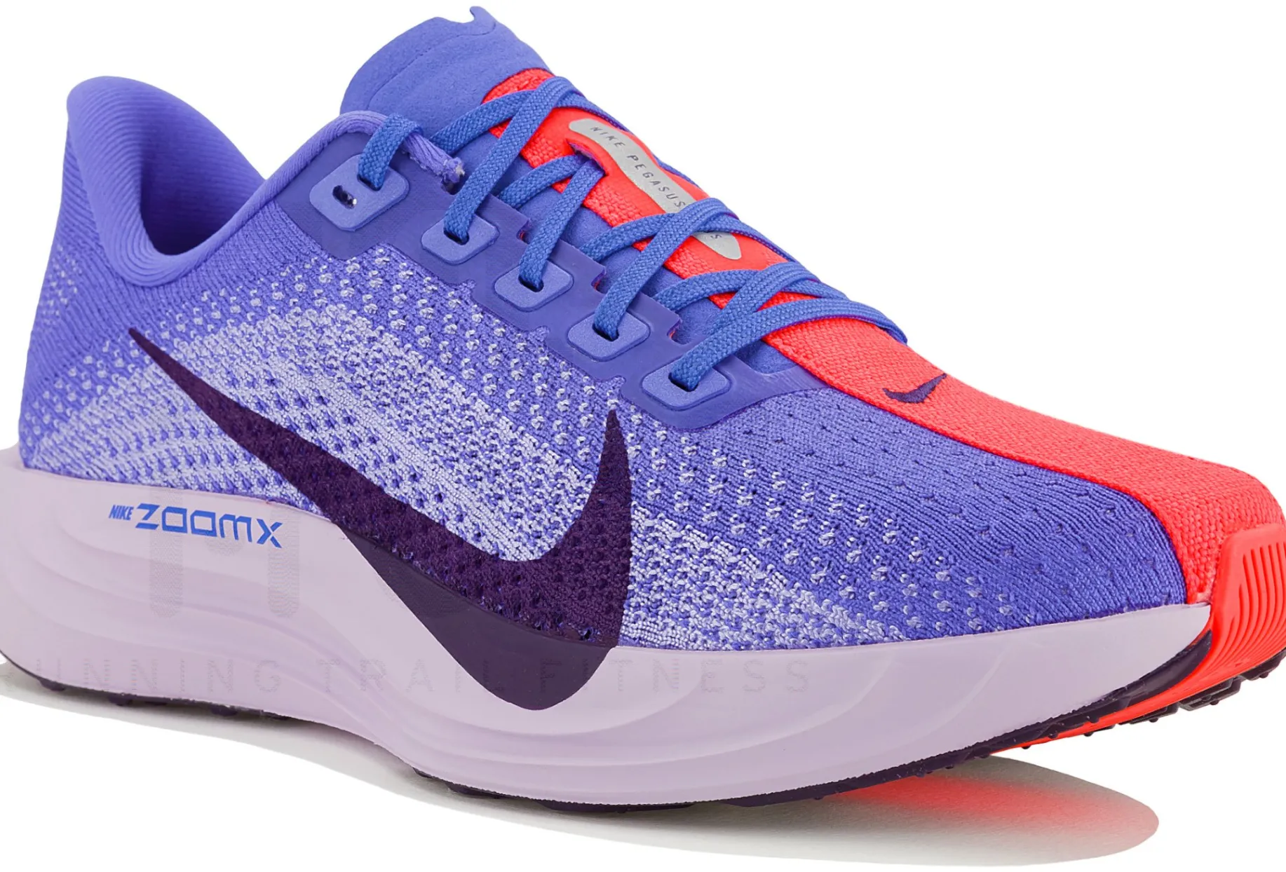 Nike Pegasus Plus