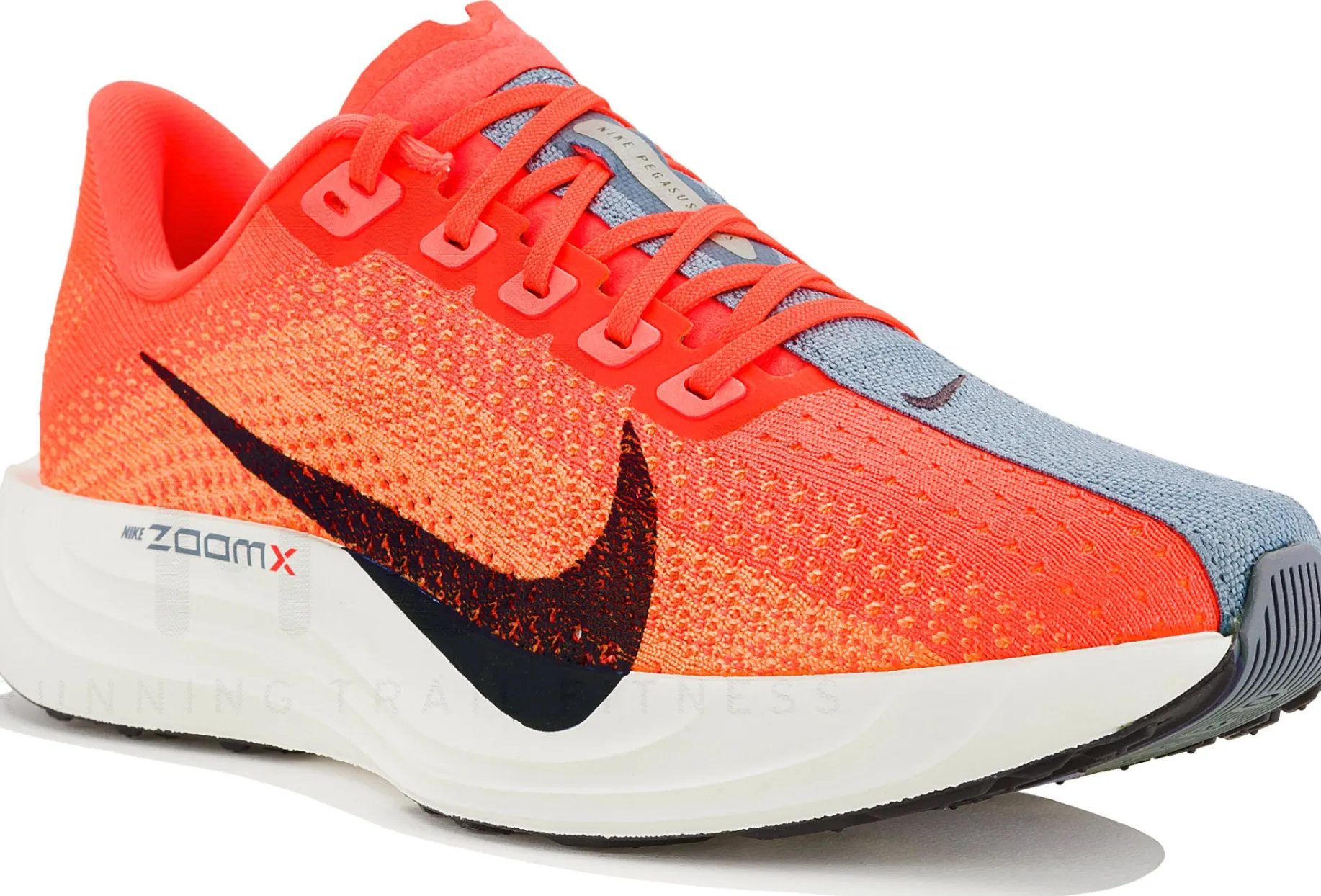 Nike Pegasus Plus