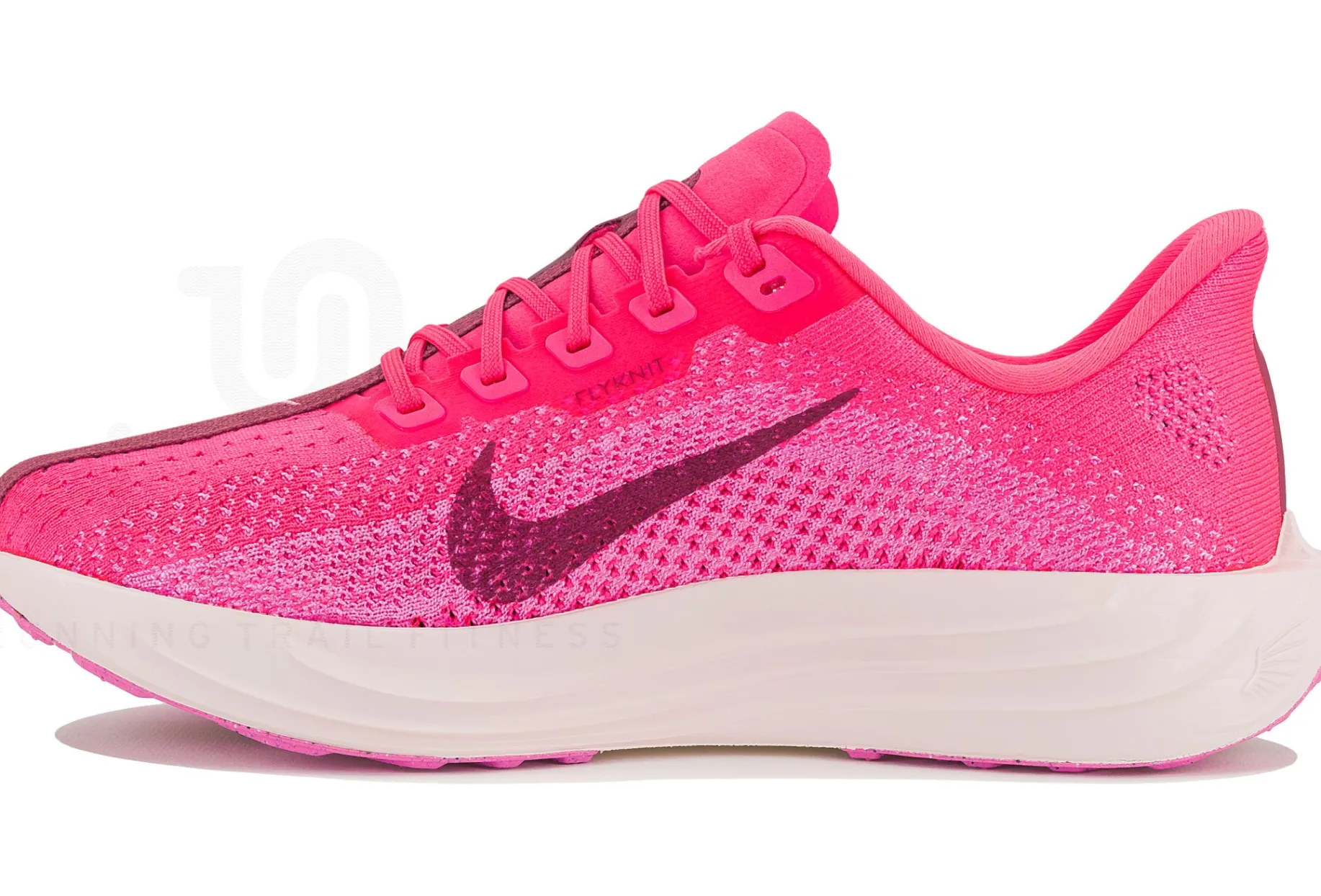Nike Pegasus Plus