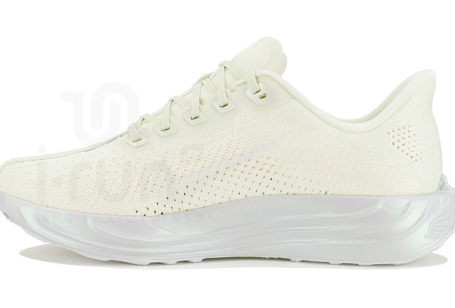 Nike Pegasus Plus ESS