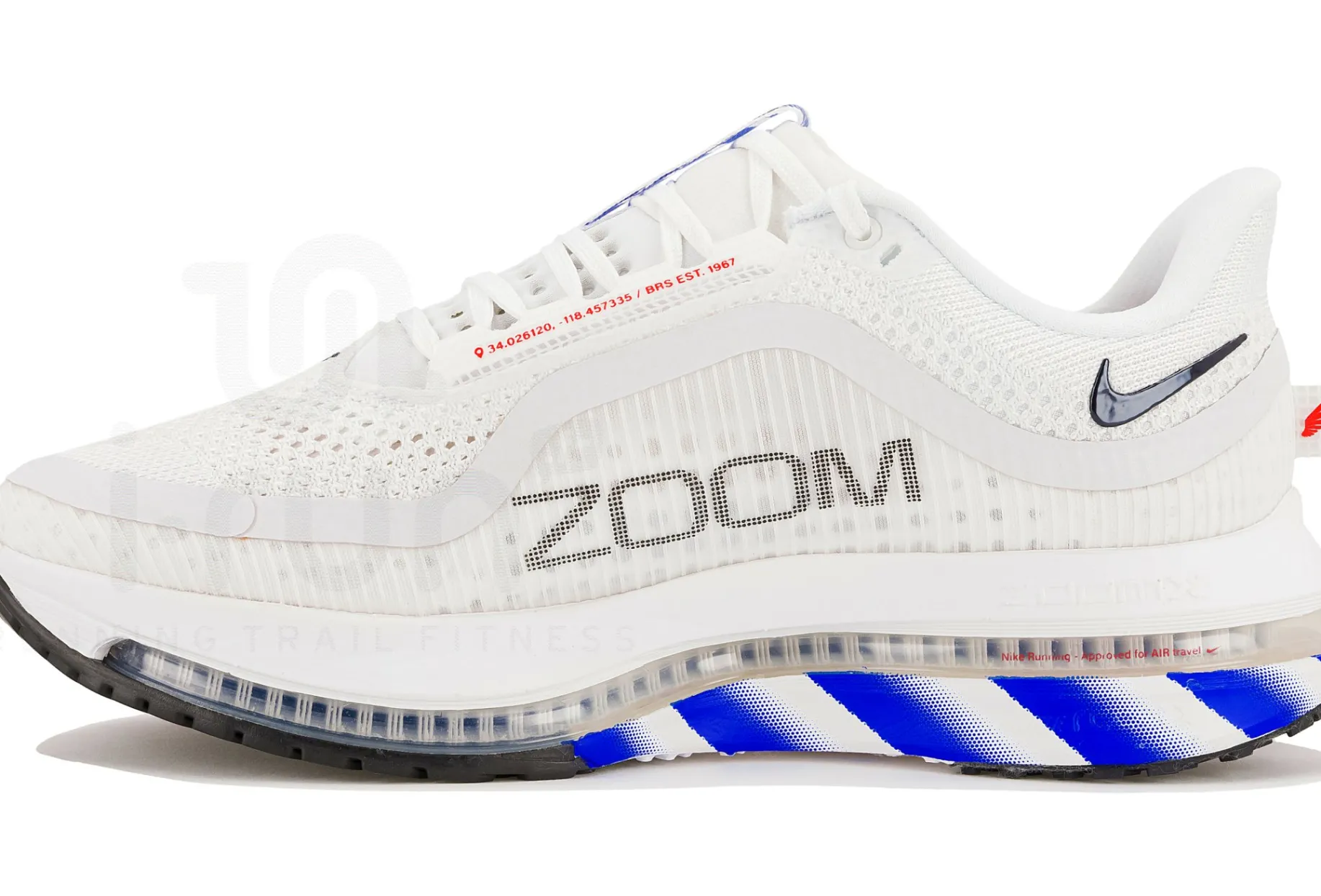 Nike Pegasus Premium