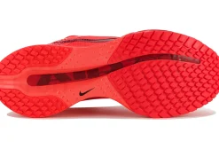 Nike Pegasus Premium