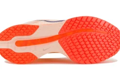 Nike Pegasus Premium
