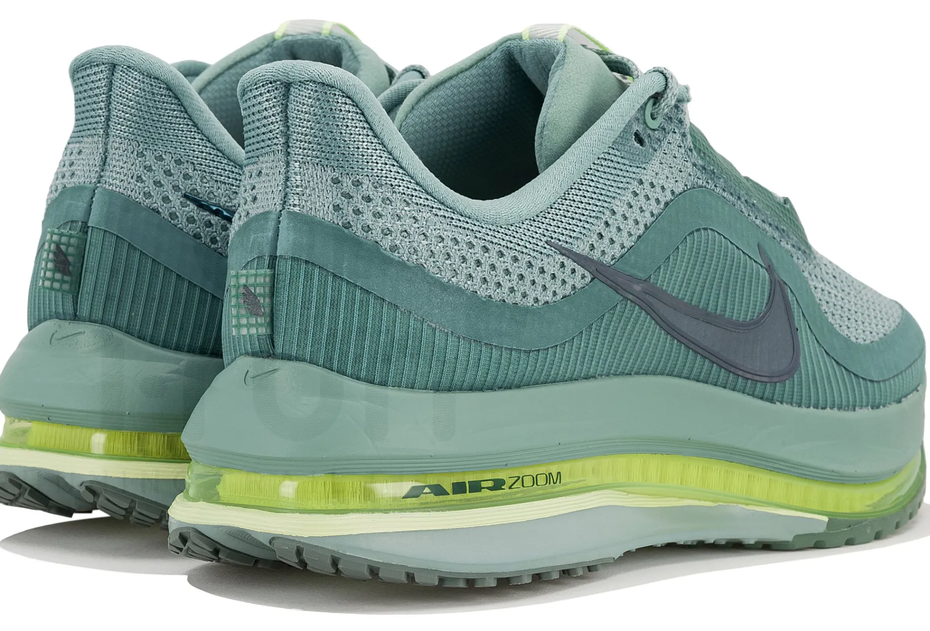 Nike Pegasus Premium