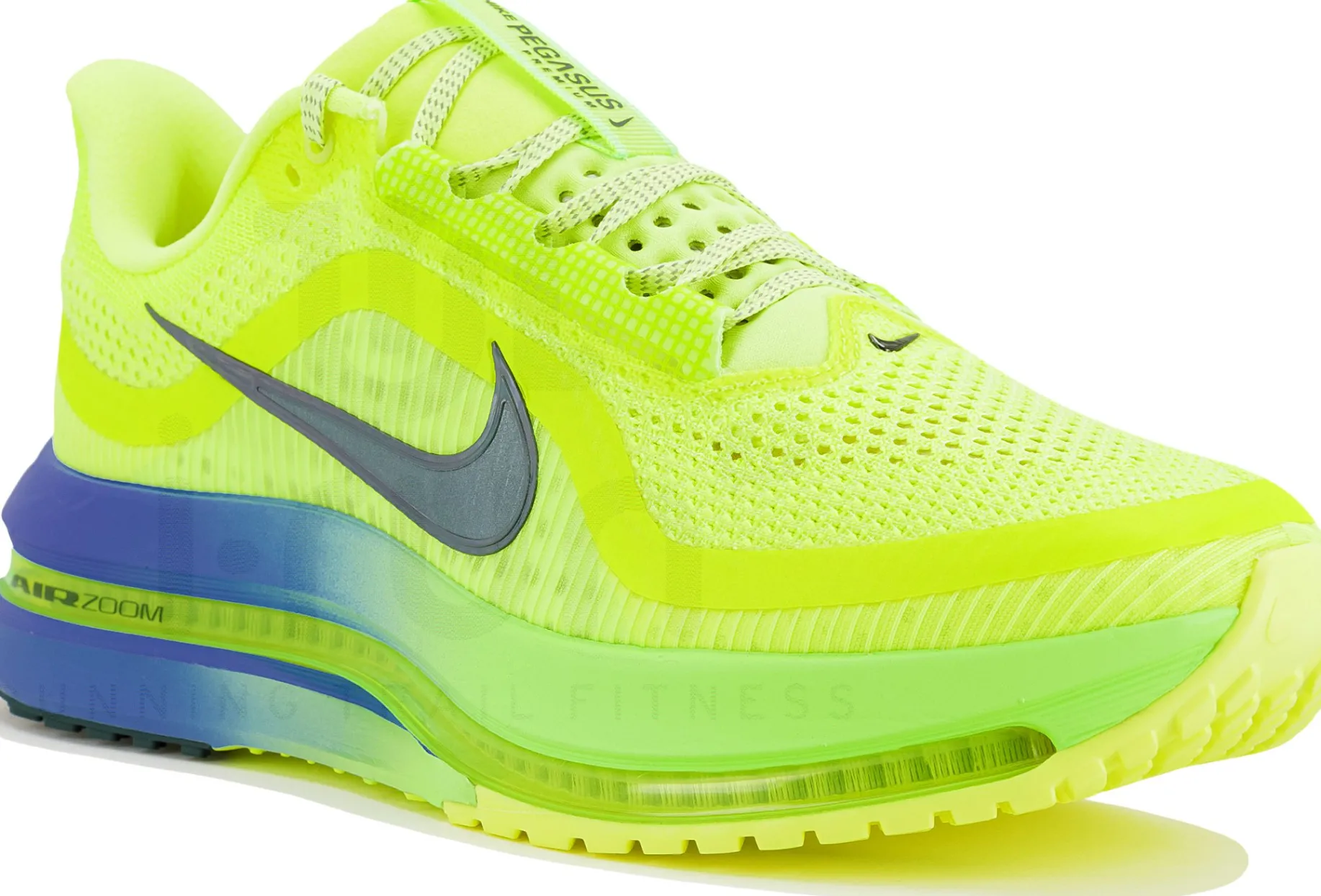 Nike Pegasus Premium